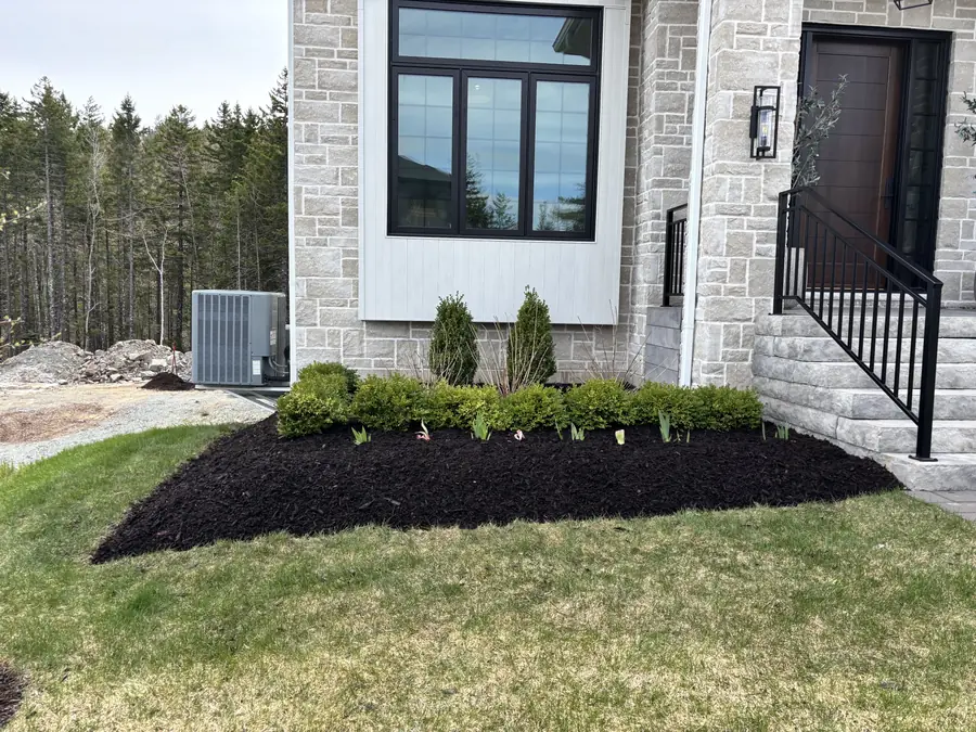 Black mulch bed with shrubs and cedars at the front entrance of a stone home — landscaping project in Halifax, Nova Scotia